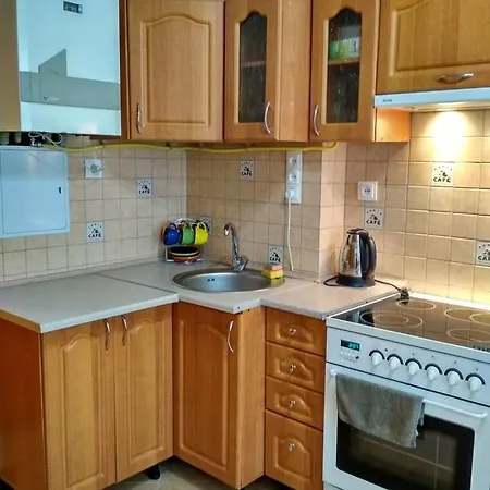 On Virmens'ka Street Apartment *